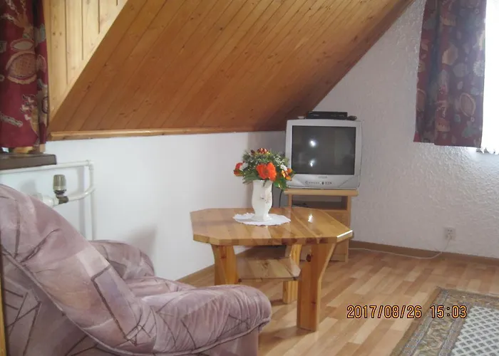 Bocianie Gniazdo בית הארחה